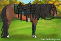 Horse Color:Bay Varnish 