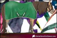 Horse Color:Amber Cream Champagne 