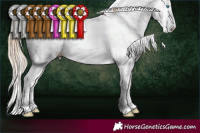 Horse Color:Chocolate Perlino Dun Sabino 