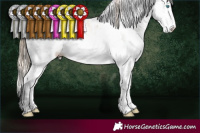 Horse Color:Chocolate Perlino Dun Sabino 