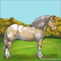 Horse Color:White Spotted Silver Buckskin Dun Sabino Rabicano