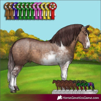 Horse Color:Chocolate Brown Dun Sabino 