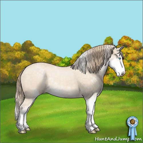 Horse Color:Perlino Dun Sabino Rabicano 