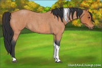 Horse Color:Bay Roan Tobiano 