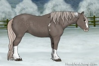 Horse Color:Silver Black Splash Tobiano 