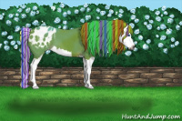 Horse Color:Gray Painted Watercolor Red Roan Sabino Splash Appaloosa 