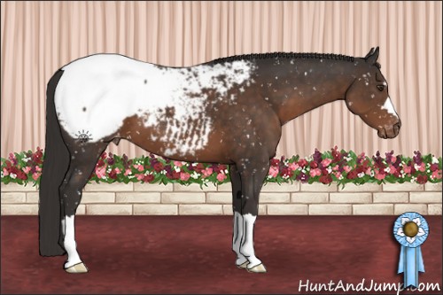 Horse Color:Liver Chestnut Snowflake Varnish