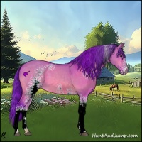 Horse Color:Watercolor White Spotted Bay Dun 