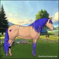 Horse Color:Watercolor White Spotted Buckskin Dun 