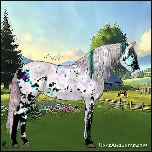 Horse Color:Watercolor Red Dun Sabino 