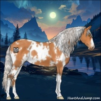 Horse Color:White Spotted Silver Bay 
