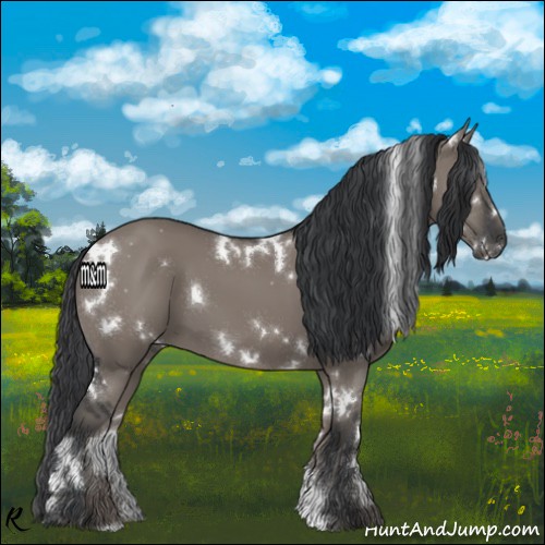 Horse Color:White Spotted Grullo