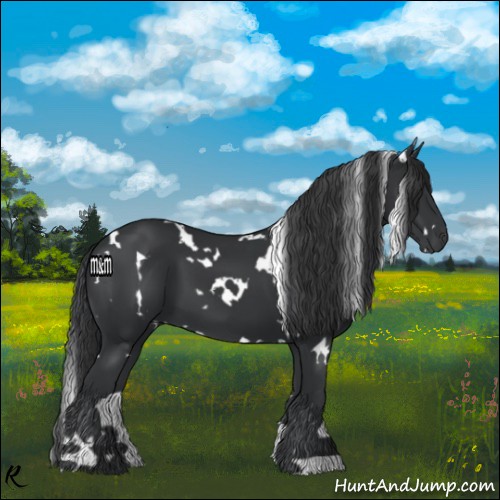 Horse Color:White Spotted Black 
