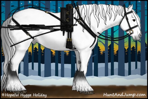 Horse Color:Gray White Spotted Smoky Black