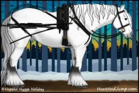 Horse Color:Gray White Spotted Smoky Black