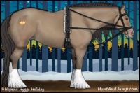 Horse Color:Classic Champagne Sabino 