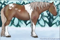 Horse Color:Chocolate Silver Black Sabino Tobiano