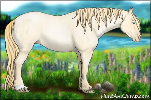 Horse Color:Buckskin Roan Pearl  and Buckskin Roan Pearl 