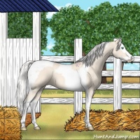 Horse Color:Cremello Splash Tobiano Varnish 