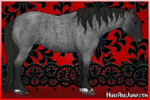 Horse Color:Gray Blue Roan 