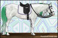 Horse Color:Watercolor Bay Ice Roan Dun Splash Tobiano 