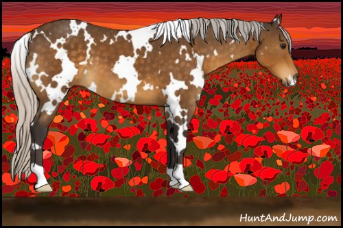 Horse Color:White Spotted Silver Buckskin 