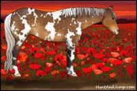 Horse Color:White Spotted Silver Buckskin 