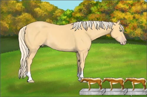 Horse Color:Gold Cream Champagne 