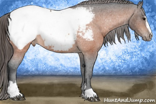 Horse Color:Bay Sabino Near Fewspot 