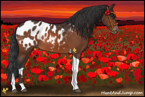 Horse Color:Brown Tobiano Blanket Rabicano