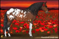 Horse Color:Brown Tobiano Blanket Rabicano 