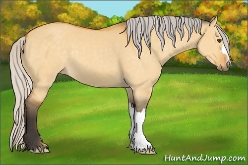 Horse Color:Silver Buckskin Dun 