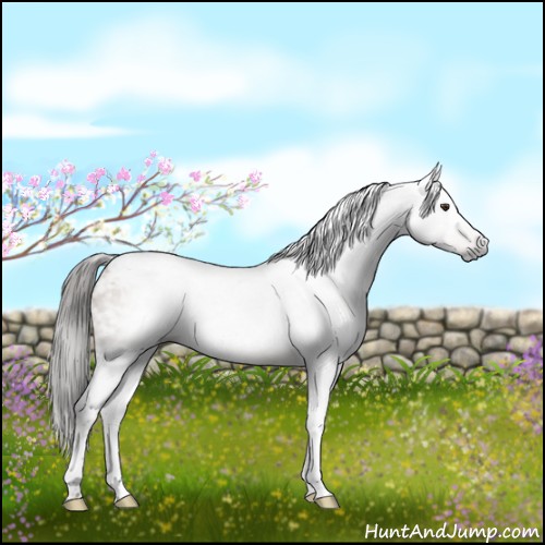 Horse Color:Gray Liver Red Dun Tobiano Brindle 