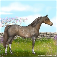 Horse Color:Chocolate Palomino Roan Tobiano 