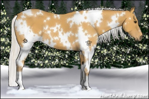 Horse Color:White Spotted Silver Buckskin 