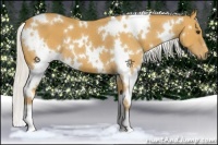 Horse Color:White Spotted Silver Buckskin 