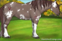 Horse Color:White Spotted Chocolate Grullo Tobiano 