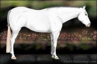 Horse Color:Gold Champagne Roan Dun Splash Tobiano Frame Blanket Rabicano 