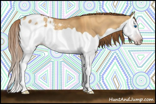 Horse Color:Gray Gold Champagne Dun Splash Appaloosa