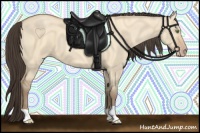 Horse Color:Amber Champagne Dun 