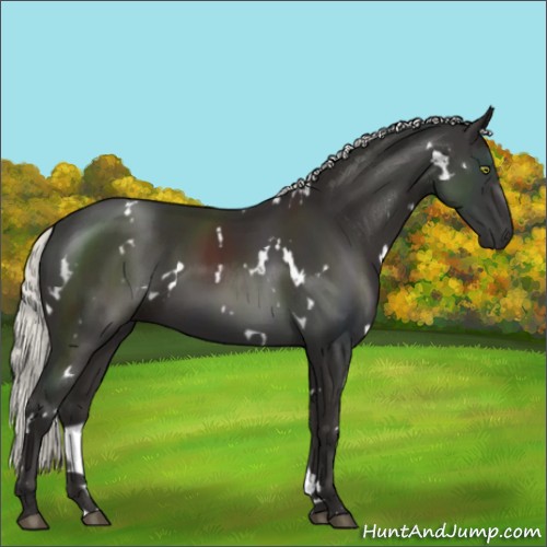 Horse Color:White Spotted Liver Chestnut Mushroom 