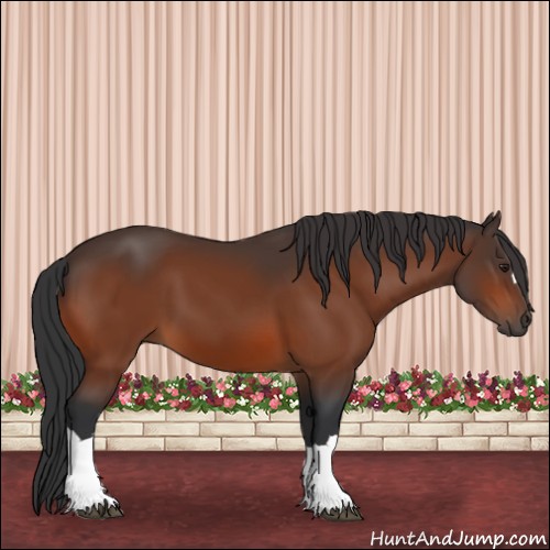 Horse Color:Brown 