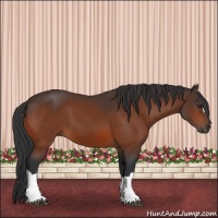 Horse Color:Brown 
