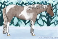 Horse Color:Silver Blue Roan Tobiano 