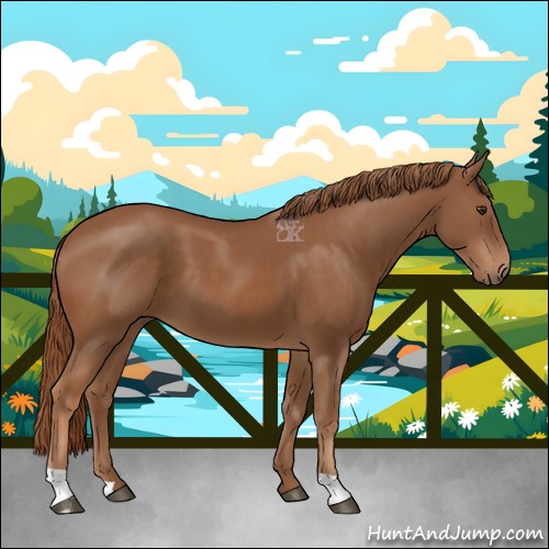 Horse Color:Chestnut 