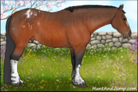 Horse Color:Brown Varnish  and Brown 