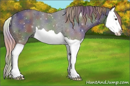 Horse Color:Nacre Liver Chestnut Splash 