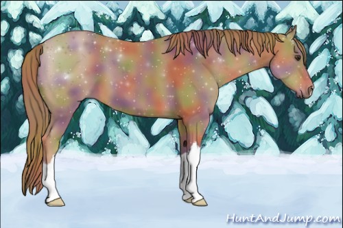 Horse Color:Nacre Chestnut 