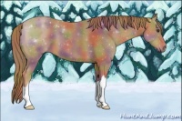 Horse Color:Nacre Chestnut 