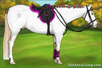 Horse Color:White Spotted Chestnut Pearl Near Fewspot 